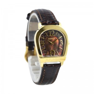 Aigner Amalfi II 32269C